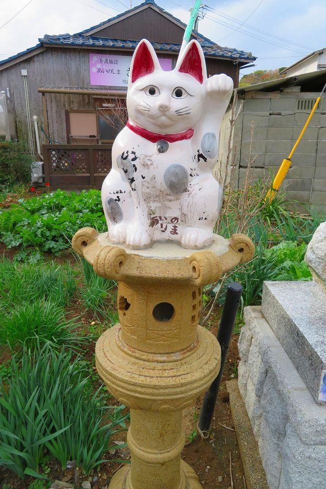 18 晩秋の福岡へ 2日目 1 世界6大猫スポット の相島で猫まみれ 博多 福岡県 の旅行記 ブログ By Jh2fxvさん フォートラベル 18 晩秋の福岡へ 2日目 1 世界6大猫スポット の相島で猫まみれ 博多 福岡県 の旅行記 ブログ By Jh2fxvさん フォートラベル