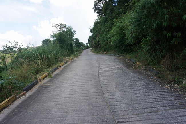 ●プレアヴィヒア寺院から下山<br /><br />12:08。<br />画像で見るとあんまりですが、かなりの傾斜です。