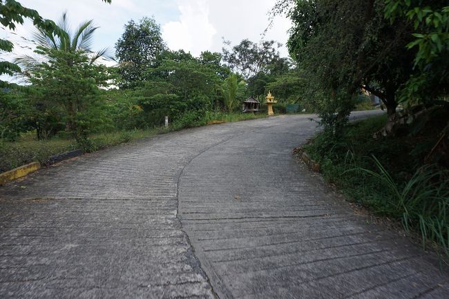 ●プレアヴィヒア寺院から下山<br /><br />12:08。<br />勢いよくどんどん下りていきます。<br />振り落とされないように、しっかり車にしがみついていました(笑)。