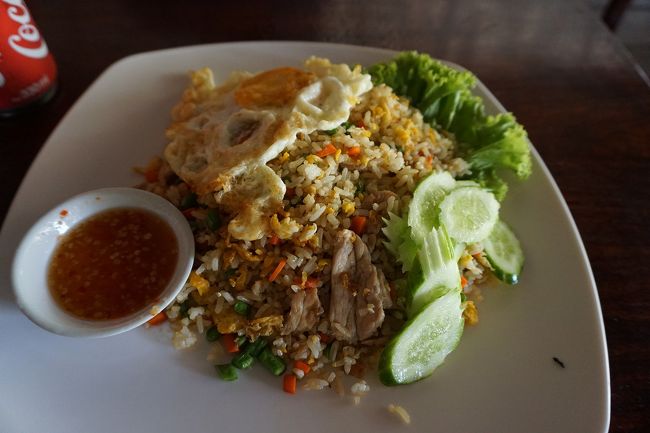 ●昼食＠チケットセンター<br /><br />僕の炒飯。<br />生野菜系大丈夫かな…帰りの車も長いし…。<br />ハエと格闘しながら（汗）美味しく頂きました。<br />