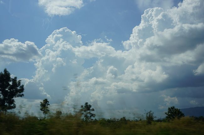 ●車内から＠シェムリアップへ<br /><br />13:07。<br />陽射しがさんさん。