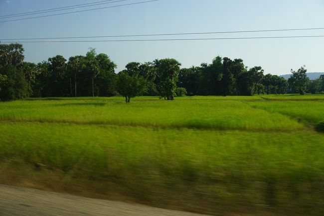 ●車内から＠シェムリアップへ<br /><br />15:34。<br />再び、緑多きカンボジアの大地を走ります。<br />カンボジアではお米は年に3回作るそうです。<br />三期作ですね。<br />