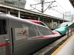 所要時間2時間19分、予定通り１１：１３くりこま高原駅到着