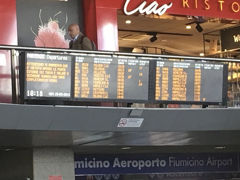 2016/03/25

ローマテルミニ駅からヴェネツィアサンタルチア駅へトレニタリアで向かいました。