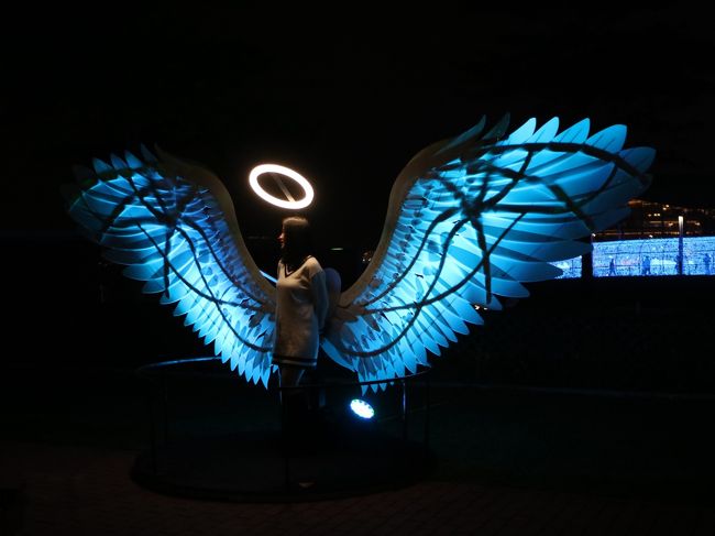 人が入るとこんな感じ。