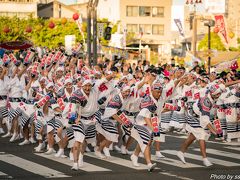 夕方から有名連の阿呆連さんを追いかけることに