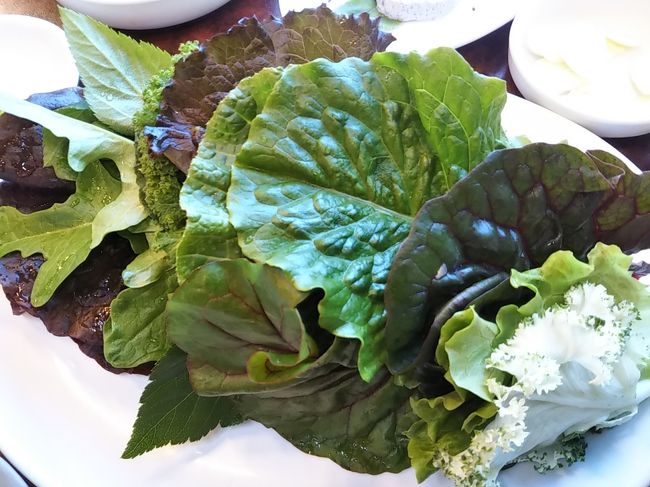 葉っぱいっぱい