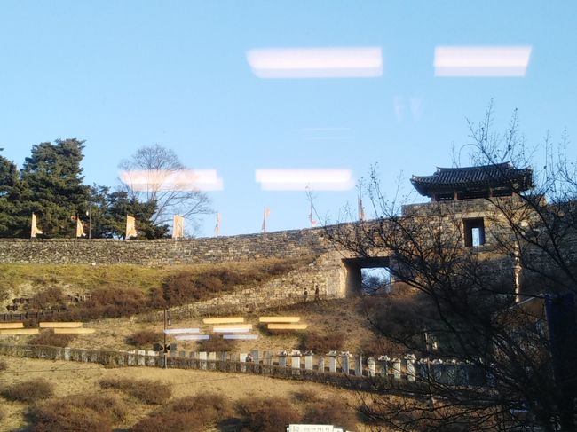 店内から公山城が見える。