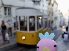 たった数分で終点に到着。
坂を登るだけだからねー