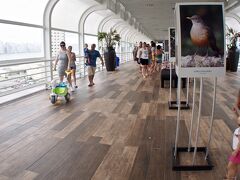 『Passarela da Barra：バーの通路』

絵とか写真なんかも展示されていて、市民の集いの場所にもなっているようです。