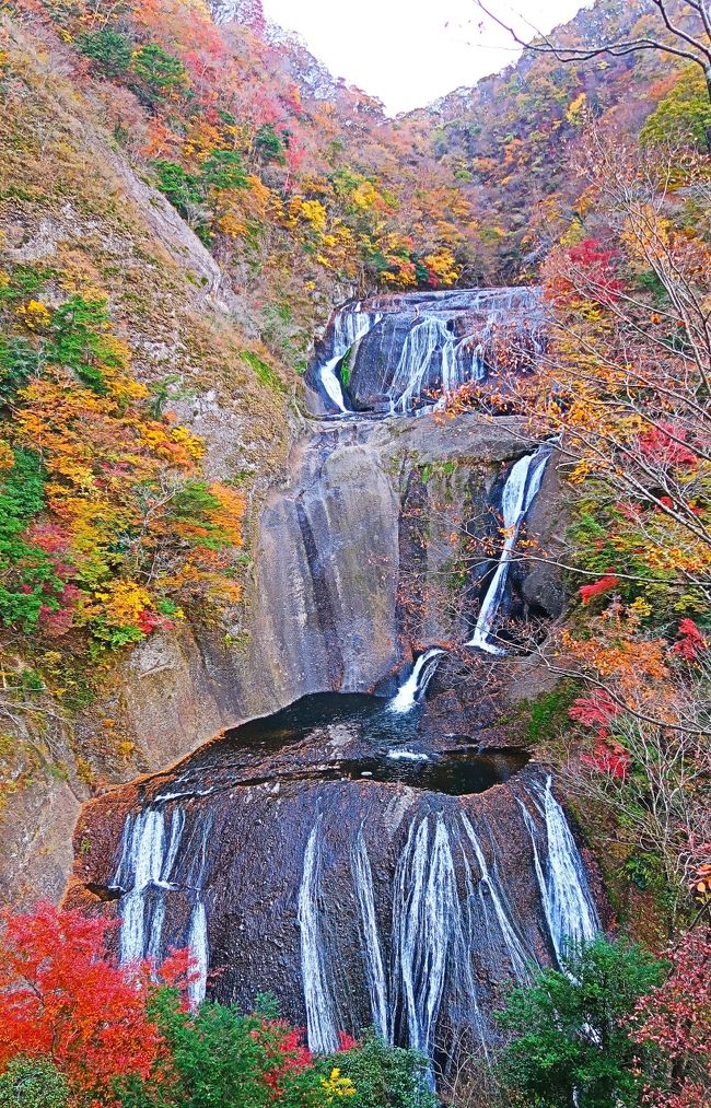 大子-4 袋田の滝 第2観瀑台から全景を眺め ☆紅葉の時季・茨城県民の