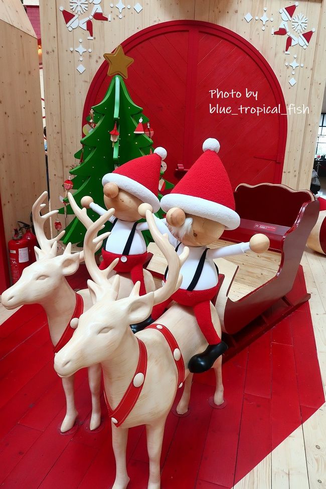 ソリにも乗れます。