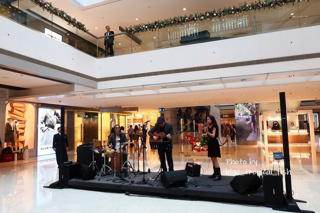 ライブ演奏が行われていて、クリスマス気分を盛り上げていました。