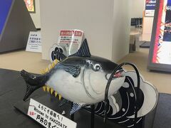 カニやホタテのイメージがあったのですが、函館空港のバゲッジクレームはまさかのまぐろ。