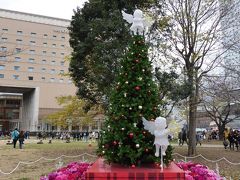 ワールドポーターズ前の天使のツリー。
夜だと光って綺麗なんでしょうね。