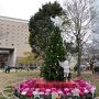 クリスマスツリーとイルミネーション★2018年横浜みなとみらい★