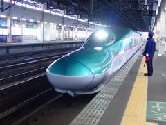東北新幹線はやてに乗ります。
