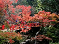 思いのほか千畳閣に長居をしてしまいましたが、今回の旅の目的地、紅葉谷公園へ向かいます。