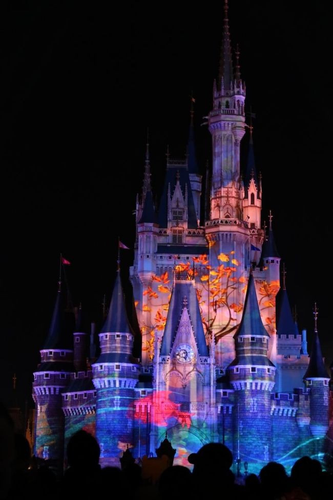 2018年12月 キラキラtokyo キラキラdisney Vol 4 35周年のディズニーランド 夜 編 ホテルミラコスタ ステイ編 東京ディズニーリゾート 千葉県 の旅行記 ブログ By ひとぴちゃんさん フォートラベル 2018年12月 キラキラtokyo キラキラdisney Vol 4 35周年のディズニーランド 夜 編 ホテルミラコスタ ステイ編 東京ディズニーリゾート 千葉県 の旅行記 ブログ By ひとぴちゃんさん フォートラベル