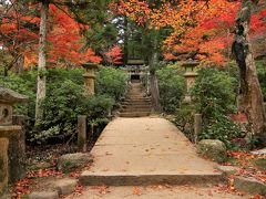公園内にある四宮神社
石段の途中に石の鳥居が2つあり、さらにその先に赤い鳥居とお社があります。
