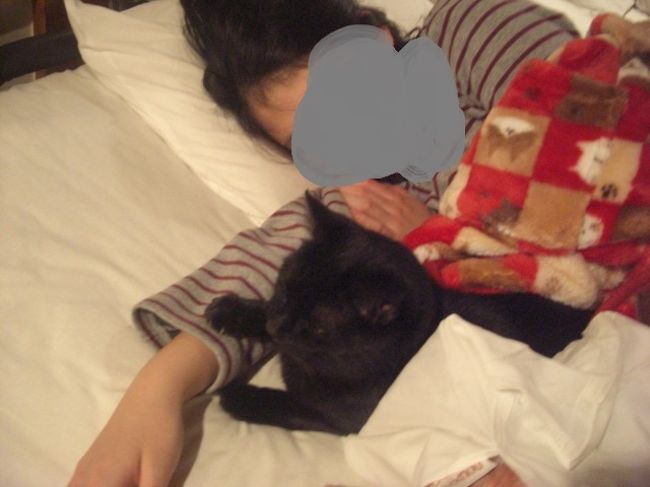 大分で猫ちゃんが添い寝してくれるオーベルゼレボーに泊まる ェ 幸せ過ぎな湯布院 湯布院 由布院温泉 大分県 の旅行記 ブログ By リリーさん フォートラベル