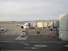 日曜日の羽田空港。この日も飛行機で移動です。