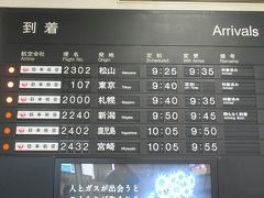 大阪伊丹空港には定刻で到着しました。