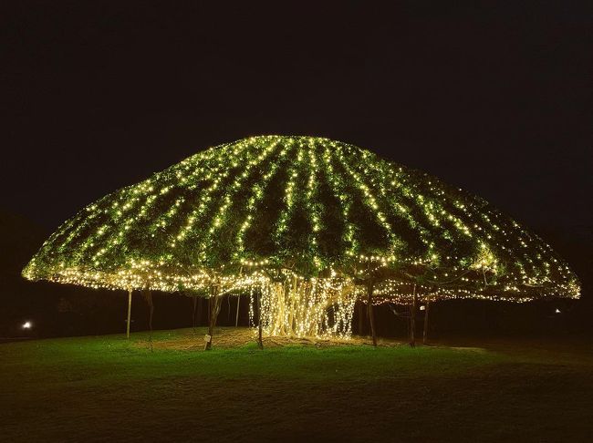 18年旅おさめ 宮古島でクリスマス 夫婦忘年会 宮古島 沖縄県 の旅行記 ブログ By えつさん フォートラベル