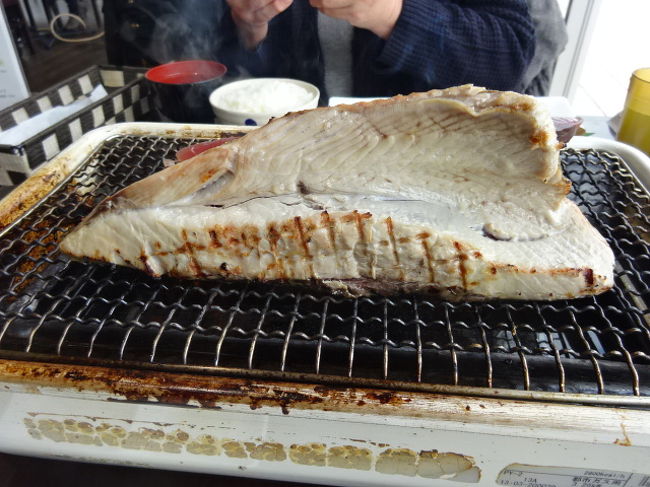 焼津ととや新兵衛の鰹レアステーキランチとmeijiチョコレート工場見学 産業観光ツアー 焼津 静岡県 の旅行記 ブログ By 三毛猫美花さん フォートラベル 焼津ととや新兵衛の鰹レアステーキランチとmeijiチョコレート工場見学 産業観光ツアー 焼津 静岡県 の旅行記 ブログ By 三毛猫美花さん フォートラベル
