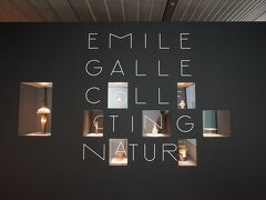 箱根のポーラ美術館では「エミール・ガレ 自然の蒐集」展が開催、3/17と6/3の２回行ってきました。またガレは、サントリー美術館の「ガレも愛した－清朝皇帝のガラス 」（4/28）にも行ってきました。どちらも美しいガレの世界に魅了されました。