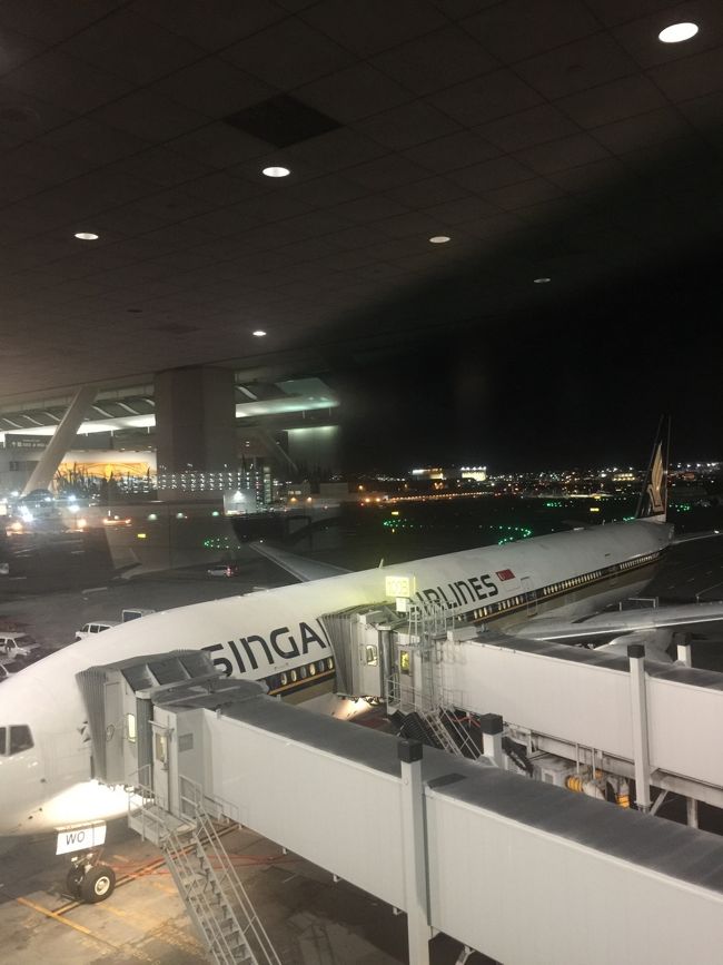 香港だろうか、、すまない、、