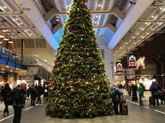 オスロ中央駅に到着。

ホテルから歩いても10分かからない距離なのが嬉しい。

クリスマスツリー、でかいな。