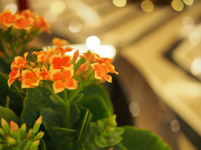 明日もKLを楽しみます★