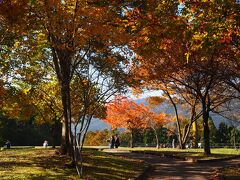 9：30　赤城高原SAで休憩。
SA内の散策路へ、ちょっとした公園になってて、見晴らしの良い場所です。
背筋が伸びて気持ちが良い。木々は紅葉真っ盛りです。
