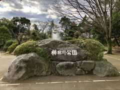 入ってすぐに柿田川公園