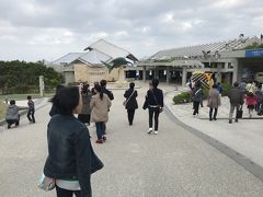 沖縄美ら海水族館