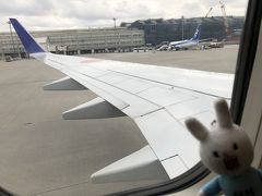 飛行機に乗り込みました。
名残惜しいです。帰ると雪と寒さが待っています…
帰りは静岡空港で乗り継ぎです。