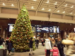 オスロ中央駅に無事到着。
駅中にある、クリスマスツリーをパチリ。
インフォメーションセンターで地図などを入手しようと思って探しましたが、
到着が18時過ぎていたので、既に閉まっていました。