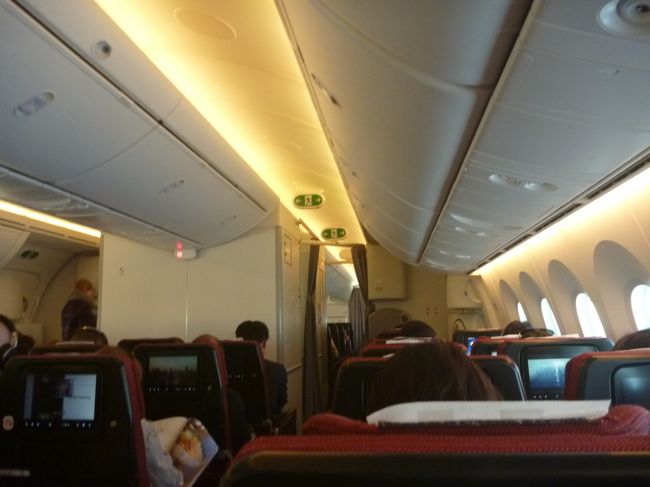 ほぼ満席の機内でした。<br /><br />この時期はまだ、年末に比べたら代金もお安いので、お休みが取れるなら連休も挟めてお得な時期のようです。<br />