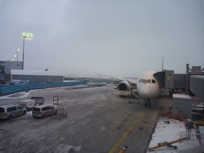 雪のヘルシンキ・ヴァンター空港に到着しました。　外は寒そう～。<br /><br />初めてのヘルシンキです。　というか、北欧が初めてです。<br /><br />3時到着というのに、もう夕方のような暗さ。（写真は明るめに写っていますが）