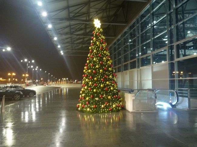 予約の名前を書いた看板を持った優しそうなおじさんは、すぐに発見できました。<br /><br />ご挨拶をしたら、すぐにスーツケースを持ってくれたのですが、1個だけで、2人分は持ってくれませんでした。　ま、行きはそれ程重くないから、いいんですけど。。。<br /><br />空港のエスカレーターを登って、外に出たらすぐに車は止まっていたので、たいして寒い思いもせずに車に乗り込めました。<br /><br /><br />