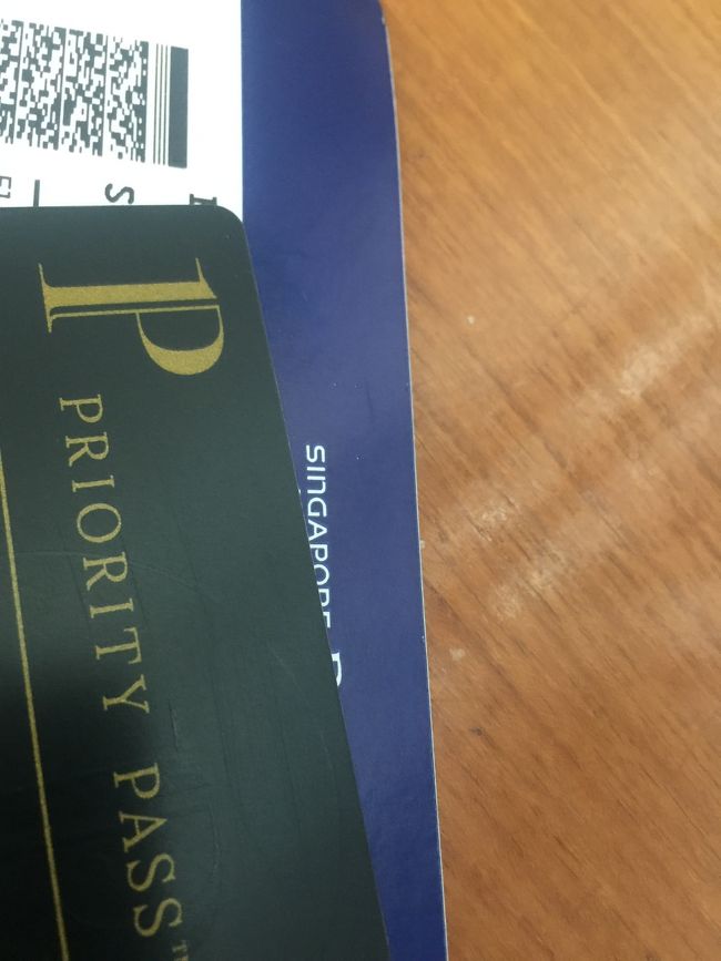 今回は　SQのビジネスで使えるあのラウンジは　やめておいて　プライオリティパスで入れる隣のラウンジにしてみた、、何故ならｗｗ　２年前だけど　ミニゴキブリを見かけたから、、とは言っても　隣同士だから　ミニゴキブリたちは　どちらのラウンジにも蔓延っていると思うけど、、ただし　シャワーを浴びたいなら　隣のラウンジじゃないと　このプライオリティパスのプライオリティｗは低いようで　シャワーは浴びる事ができないのだｗｗ