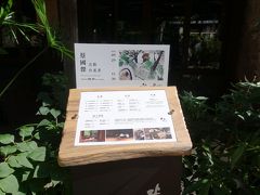 ちょっと歩き疲れたので、お茶をします。

小さな公園の脇にある、回留。