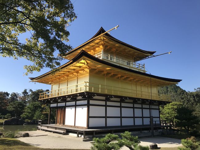 2018 10 27その3 早朝の清水寺 金閣寺 龍安寺 仁和寺 北野天満宮 嵐山 天龍寺 竹林 京都の旅行記 ブログ By Rui Ktさん フォートラベル