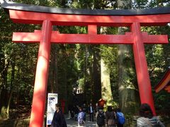 海賊船を元箱根で降りて、箱根神社にやってきました！
結構階段を上るので、祖母は下でお休みです。