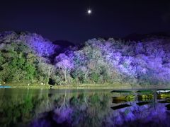 最後に、幻想的な雰囲気に酔いしれて･･･
嵐山の濃厚な２日間の幕を閉じます。

いや～大満足な旅となり、嵐山の魅力を再発見できました。
また、何度も何度も訪れたい嵐山です。

以上、おしまい。