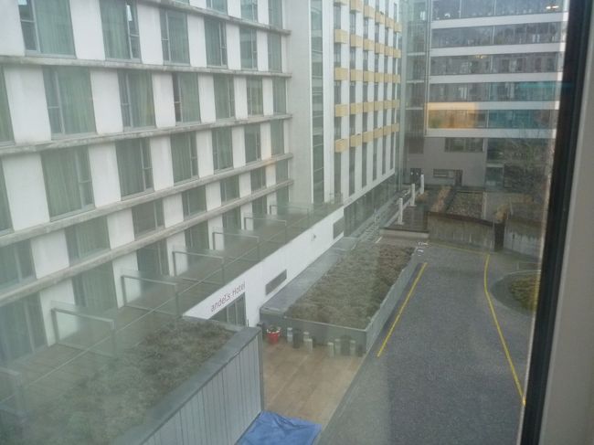 お庭に面しているお部屋でした。<br /><br />この写真は、窓のガラスに反射するので、かなり右に寄って撮っていて、本当はお庭にが正面に見えます。