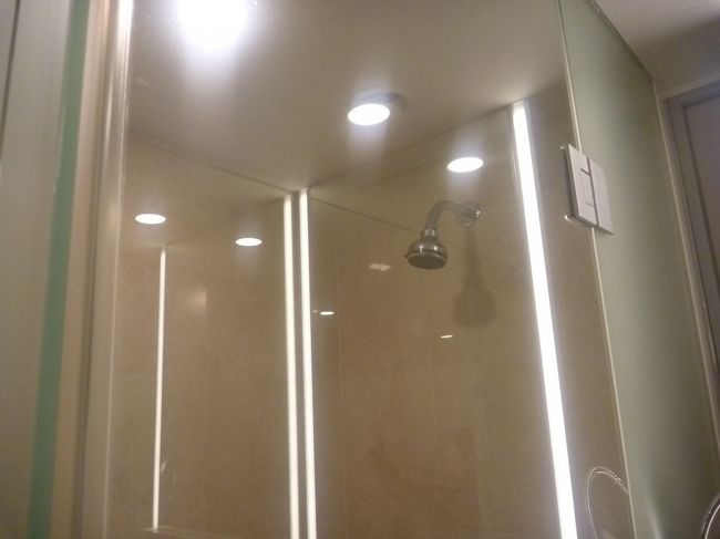 シャワールームの方は固定でちょっと残念。<br /><br />でも、排水もお湯の温度、量とも、問題なしでした。