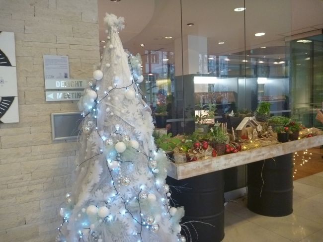 入り口にクリスマスツリー。