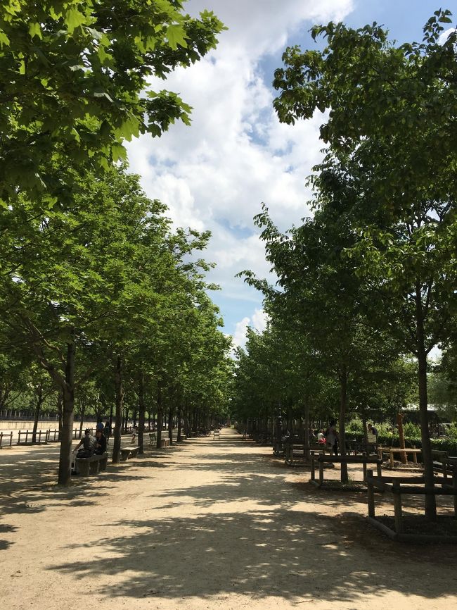 たくさん歩いて、あとはのんびり飛行機の時間まで過ごそうと思い、<br />チュイルリー公園でぼーっとしていました。<br /><br />仕事に追われ、公園でぼーっとする時間すらない。<br /><br />こんなステキな緑に囲まれた場所で、のんびりできる時間があることに<br />とても贅沢だなと思いました。<br /><br />仕事<br />仕事<br />仕事<br /><br />仕事をしていなければ、もちろん一人旅など出来ません。<br /><br />でも、やはり仕事ばかりの人生になってはいけないなと、<br />なんかいろいろ考えてしまいました。